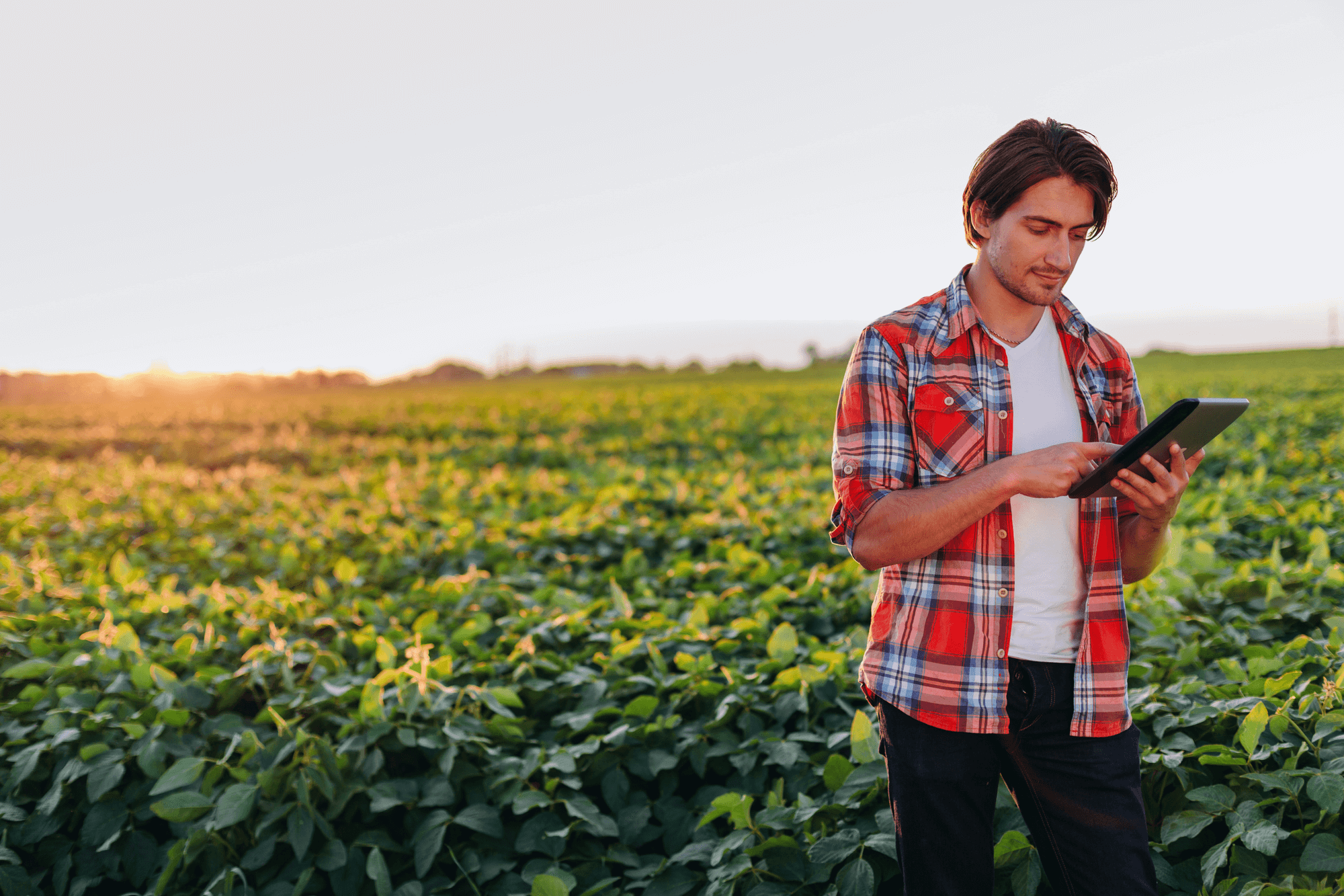 Imagem de destaque para Blog Post Assinei "MP Do Agro: Conheça As Principais Mudanças"