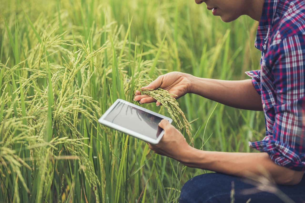 Imagem de destaque para Blog Post "Receituário agronômico com assinatura eletrônica e digital: como funciona?"