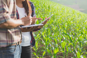 Cédula de Produto Rural (CPR)