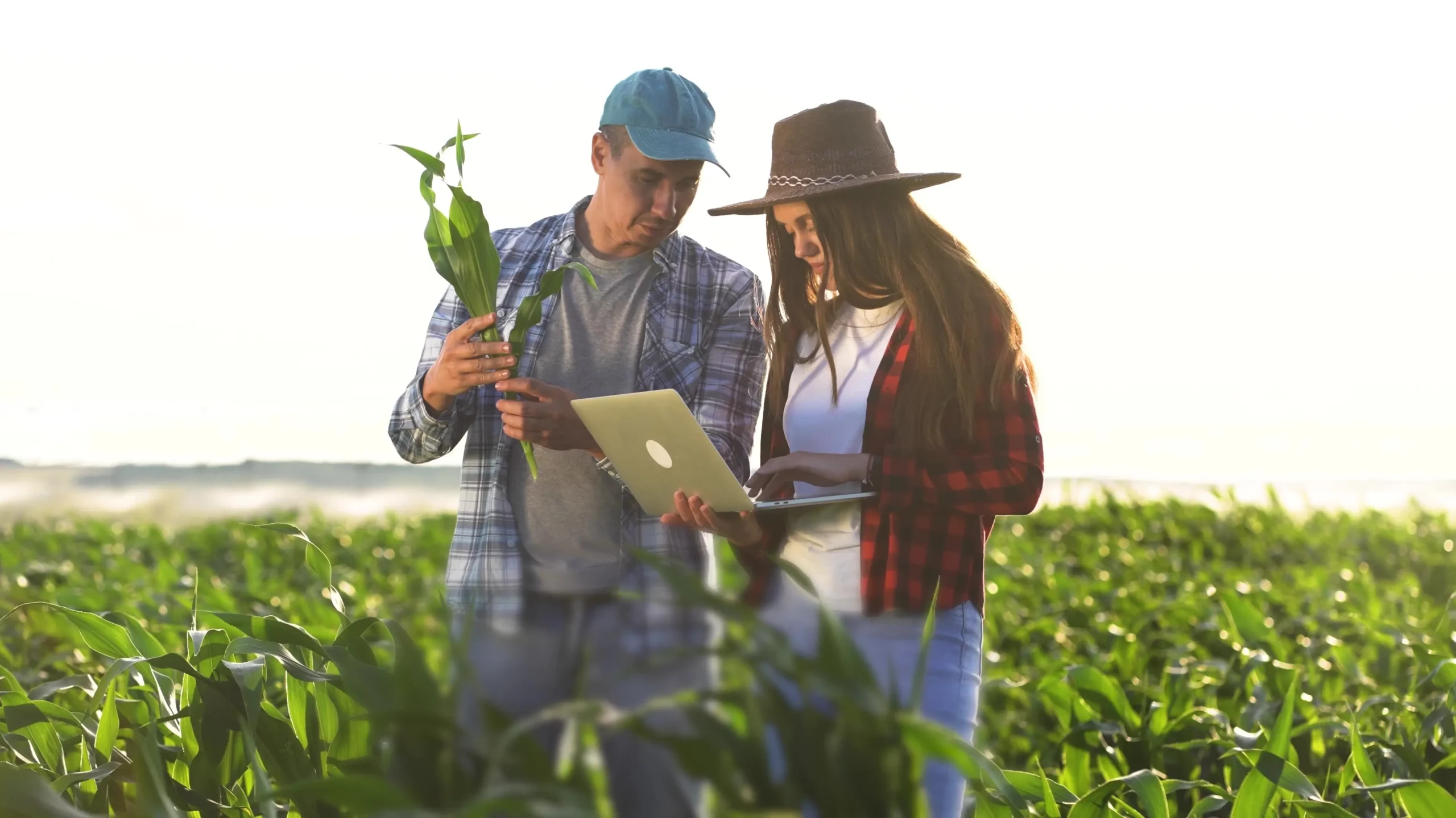 Imagem de destaque para artigo sobre contrato de parceria rural no Blog Assinei. Descrição da imagem: homem e mulher brancos utilizam notebook em lavoura (Créditos: Shutterstock)