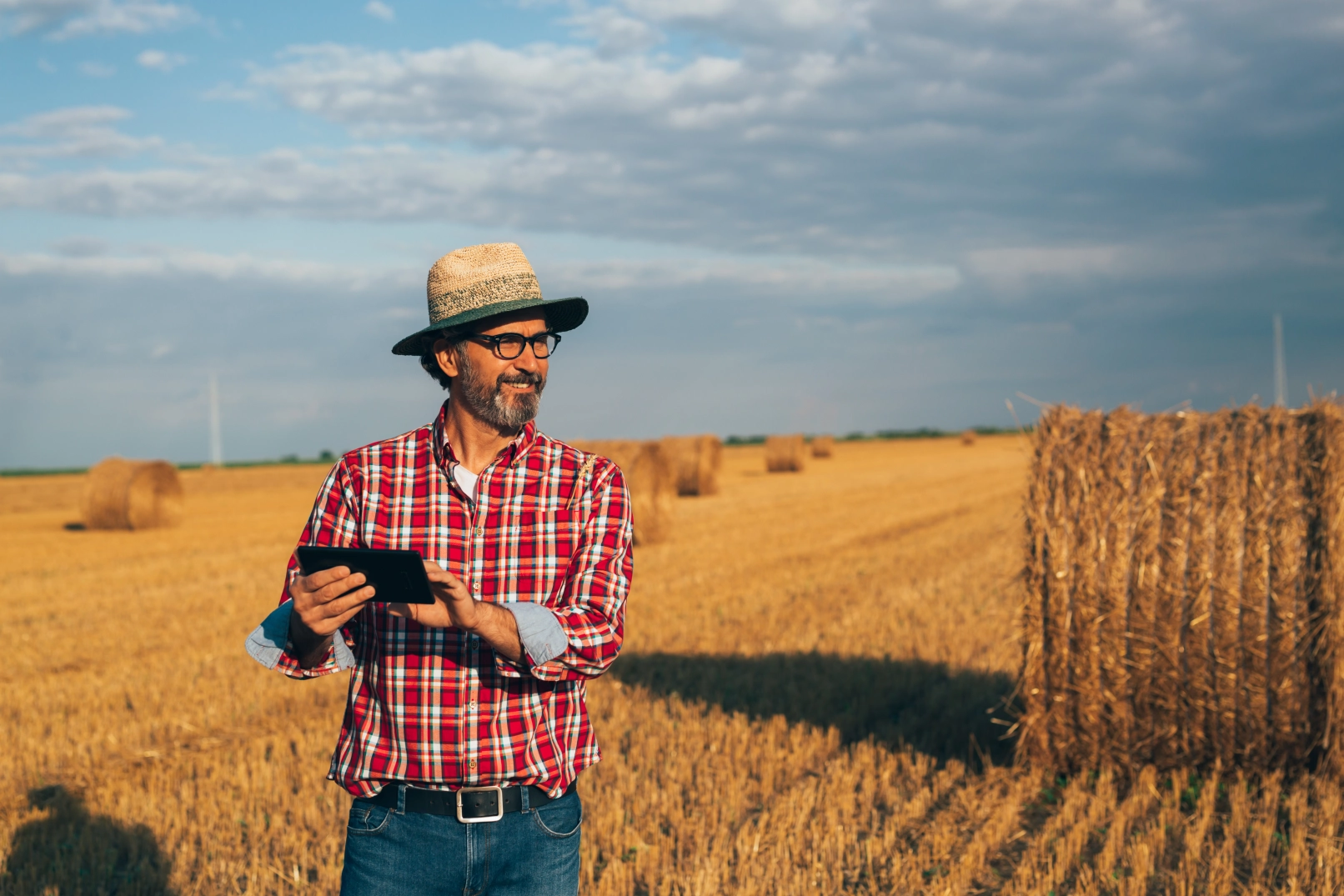 Imagem de destaque para blog post sobre contratos agrários na Assinei (Créditos: Dejan Dundjerski | Shutterstock)