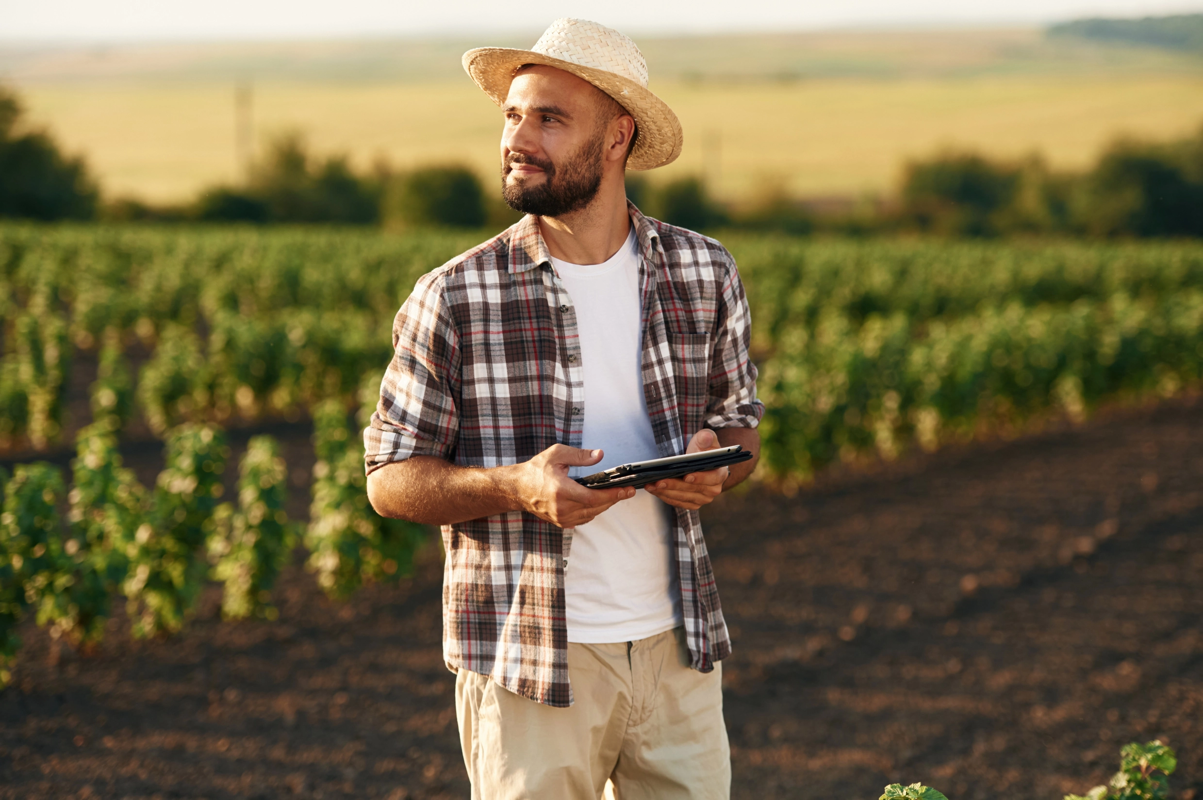 Imagem de destaque para artigo sobre canhoto digital no agronegócio publicado no Blog Assinei | Créditos da imagem: Shutterstock