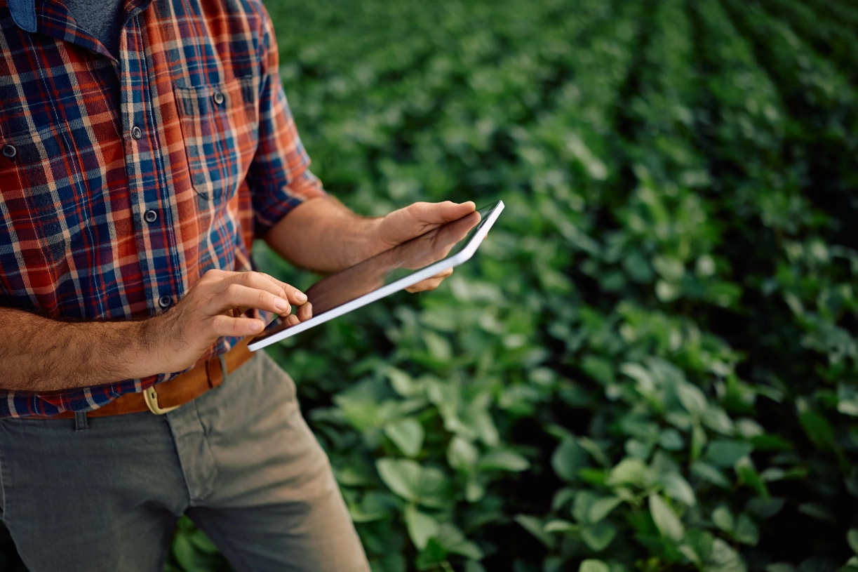 Imagem de destaque para artigo sobre assinar documento com certificado digital publicado no Blog Assinei | Créditos da imagem: Drazen Zigic / Shutterstock