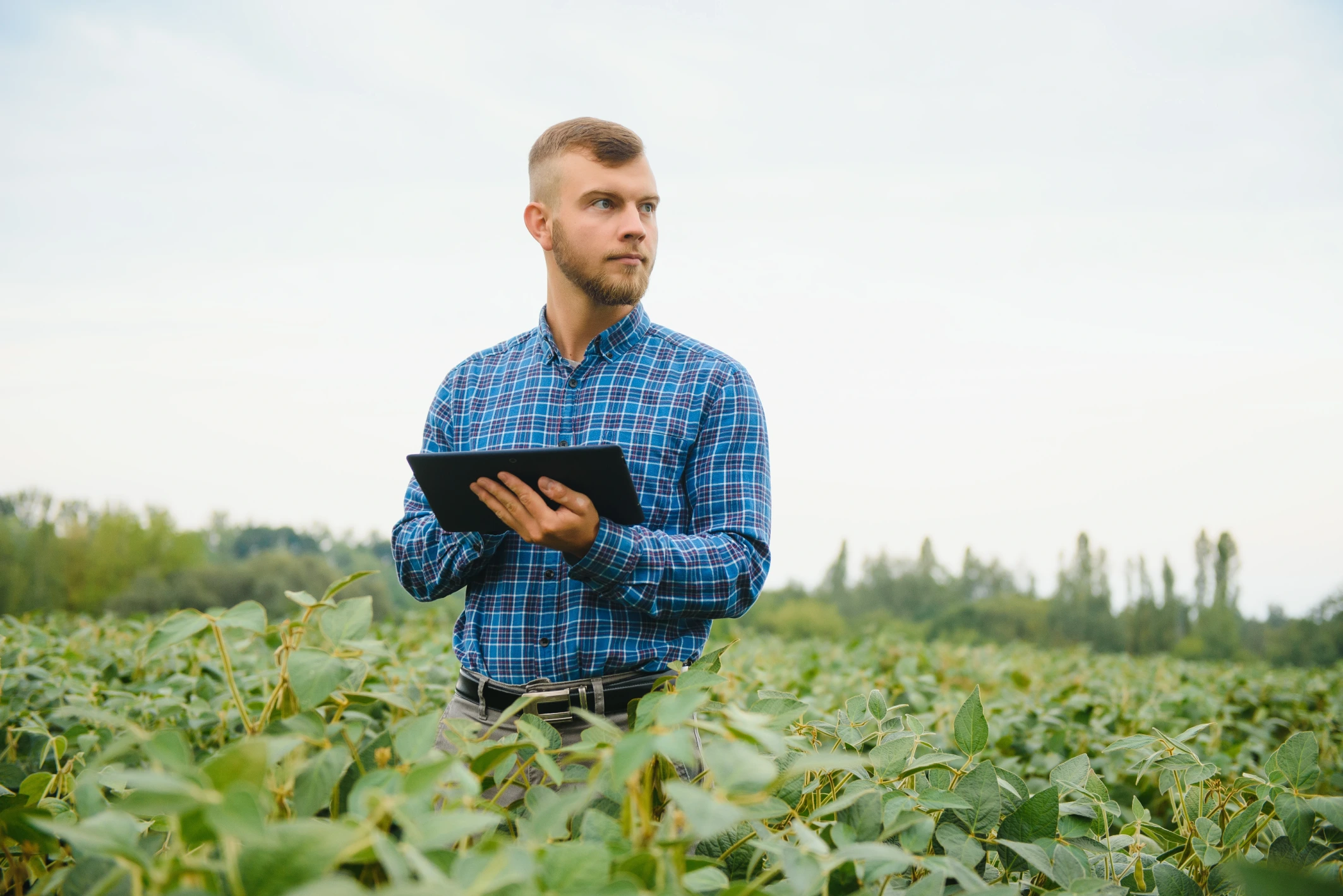 Imagem de destaque para artigo sobre certificado digital vencido publicado no Blog Assinei | Créditos da imagem: Shutterstock